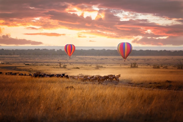 Masai Mara-3