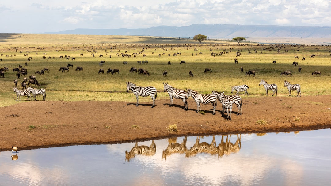 Aventure authentique au Kenya
