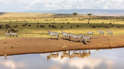 Séjour au Kenya safari et plage - Image 3