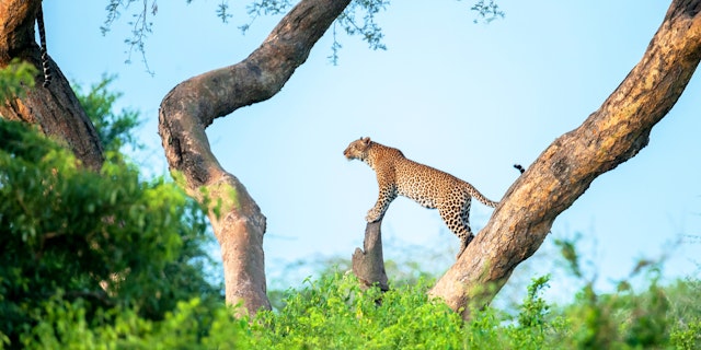 Murchison Falls National Park-1