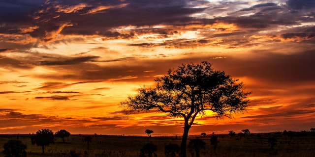 Murchison Falls National Park-0