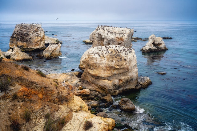 Pismo Beach-1