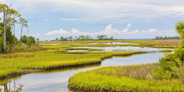 Everglades National Park-2