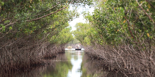 Everglades National Park-4