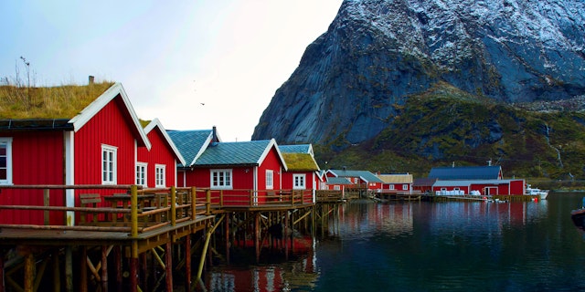 Reine-2
