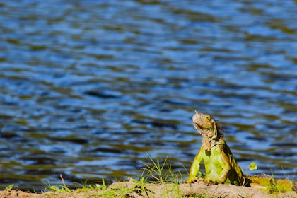 Mexiko Selbstfahrer Rundreise - Image 4