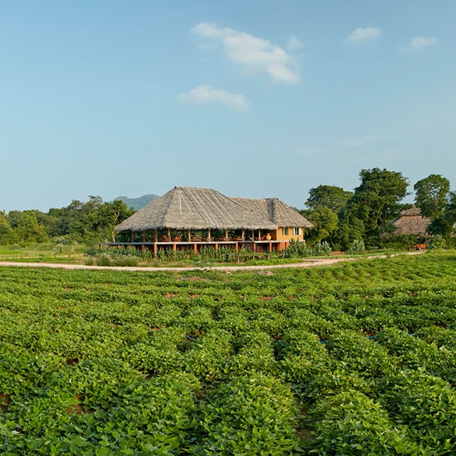 Amuna Holistic Ayurveda Retreat