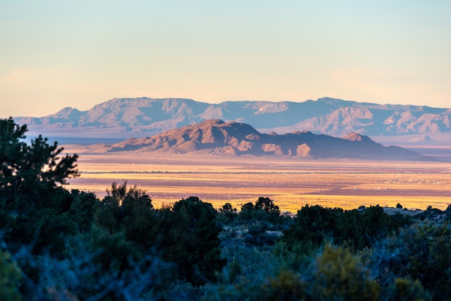 Kingman-2