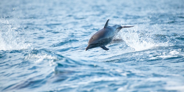 Piedras Blancas National Park-3