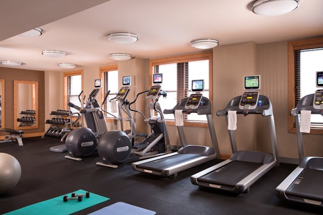 Millennium Knickerbocker Hotel Chicago