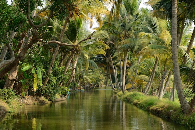 Rundreise durch Indien mit Tigern, Teeplantagen & Badeerlebnis