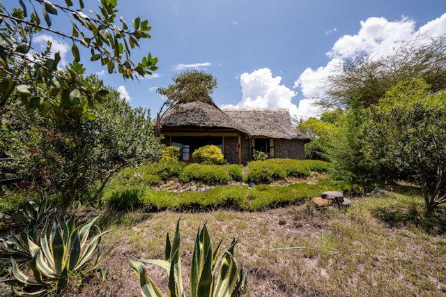 Rhino Watch Safari Lodge