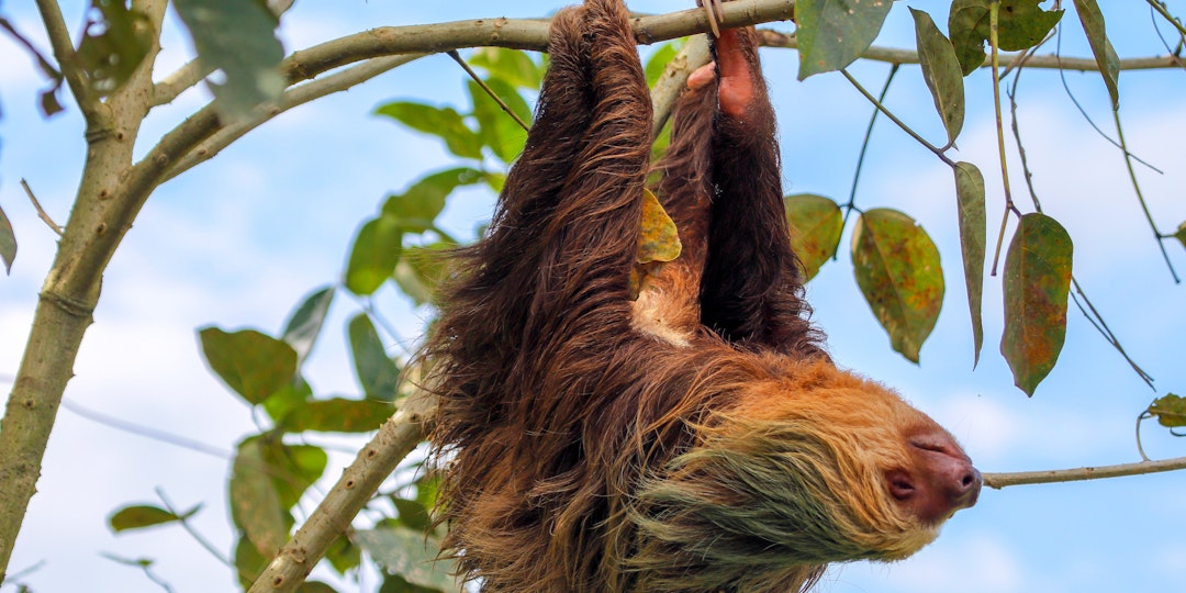 3-Wochen Trekking Costa Rica