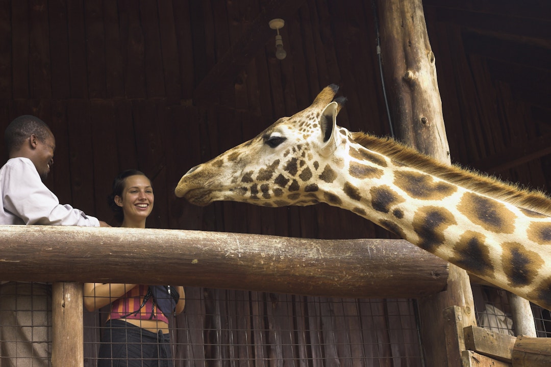 Kenia Rundreise 2 Wochen