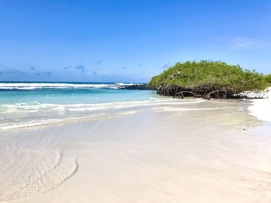 1 Woche Urlaub: Galapagos Kreuzfahrt