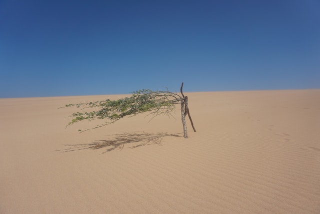Punta Gallinas
