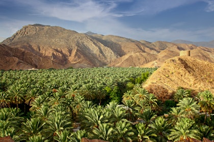 Oman Rundreise 7 Tage: Kultur, Wüste & Schildkröten - Image 3