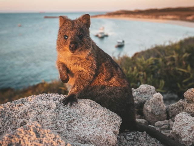Perth-1