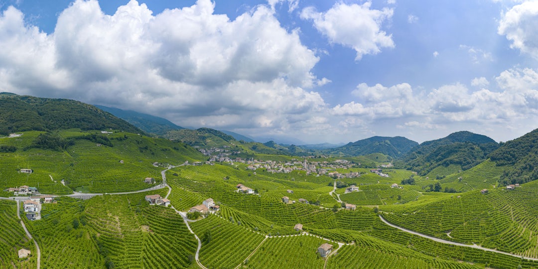 Road trip Italie du nord sur 1 semaine : vignes et paysages