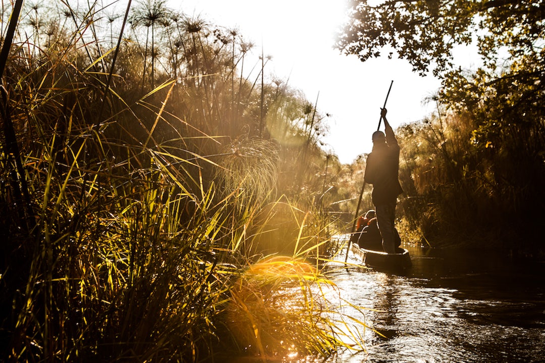 Botswana Camping Safari