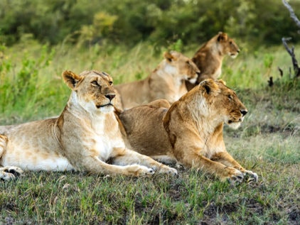 Okavango Panhandle-2