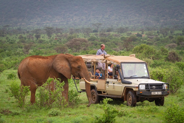 Elephant Bedroom Camp