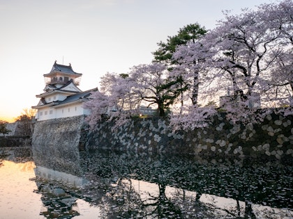 Japan Rundreise 3 Wochen mit Privatguide: Kirschblüte erleben - Image 3