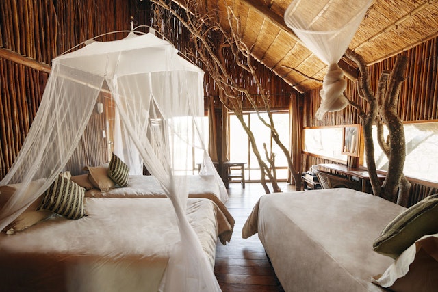 Pezulu Tree House Game Lodge