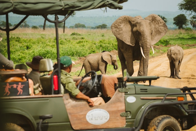 Vuma Hills Tented Camp