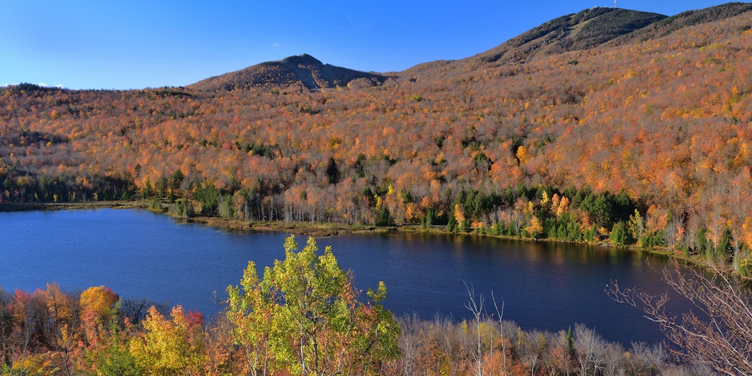 Immersion au Québec, entre histoire et nature