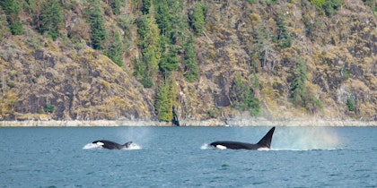 Circuit au Québec - Image 2