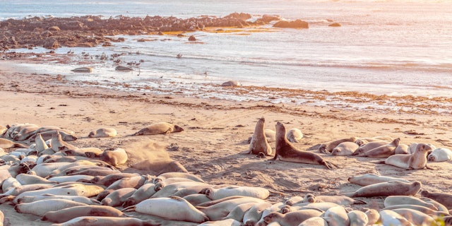 San Simeon-6