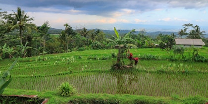 Private Java-Rundreise: Alle Highlights in 1 Woche - Image 4