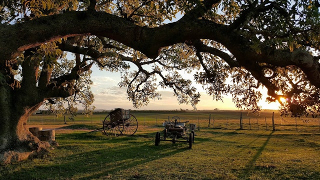 Estancia Los Platanos