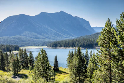 Road trip dans le Montana - Image 4