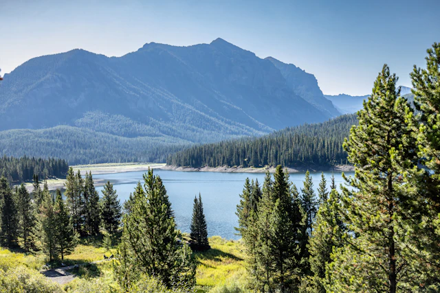 Bozeman-2