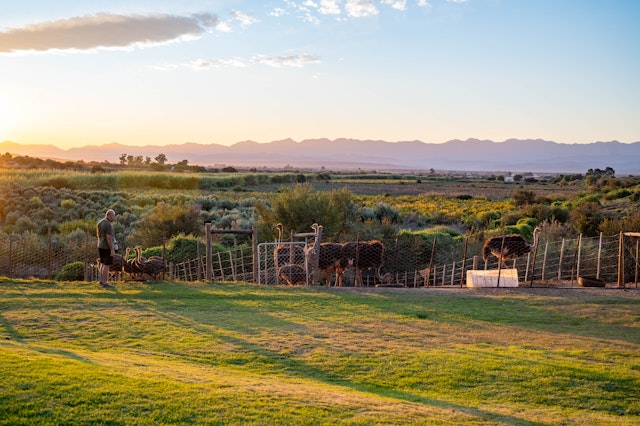 De Denne Country Guest House