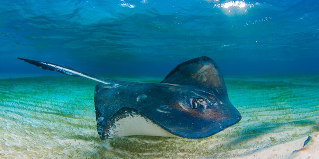 Southern Caribbean Coast-3