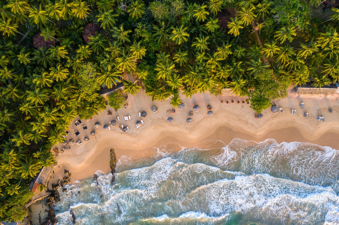 Trésors cachés du Sri Lanka