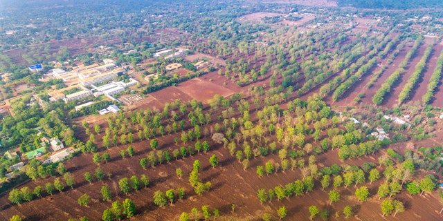 Escaladez le Kilimandjaro