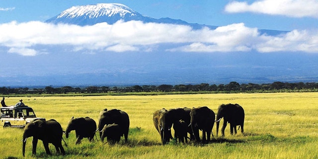 Elewana Tortilis Camp Amboseli