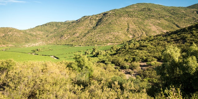 Maipo River Valley-0