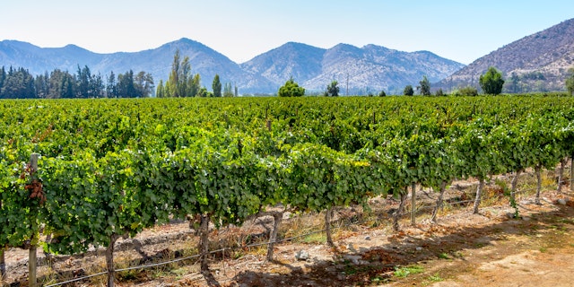 Maipo River Valley-5