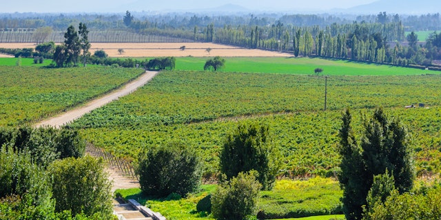 Maipo River Valley-2