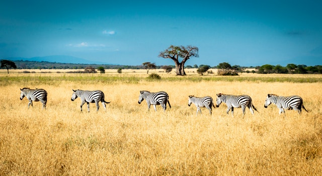 Ngorongoro Kuhama Camp