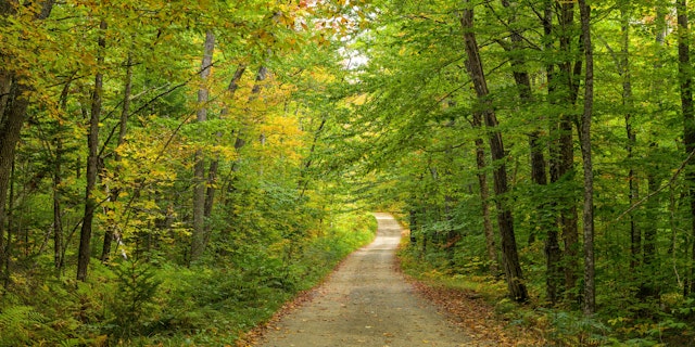 Mount Blue State Park-1