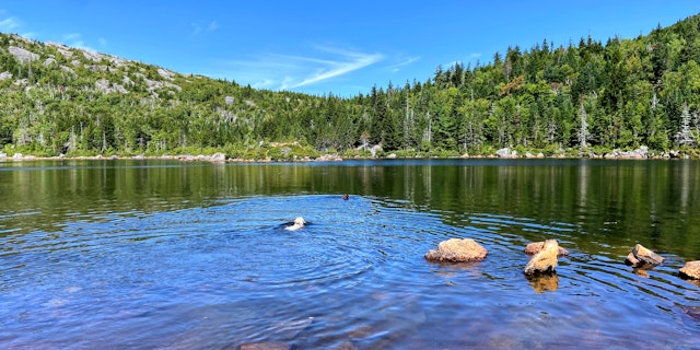 Mount Blue State Park-4