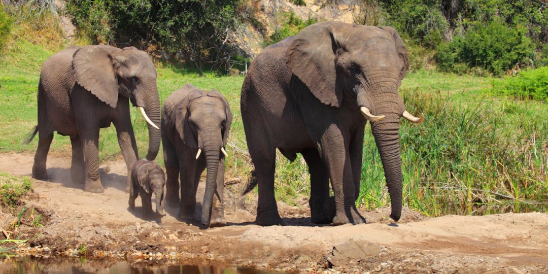 2 Wochen Südafrika Familienurlaub