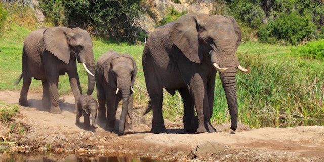 2 Wochen Südafrika Familienurlaub