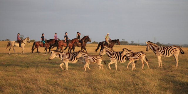 Botlierskop Private Game Reserve-4